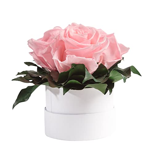 ROSEMARIE SCHULZ Heidelberg Infinity Rosenbox weiß rund konservierte Blumen Rosa - 3 Infinity Rosen Durchmesser 15 cm - Freundinnen Geschenkideen (Rosa, Medium) von ROSEMARIE SCHULZ Heidelberg