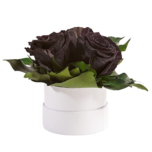 ROSEMARIE SCHULZ Heidelberg Infinity Rosenbox weiß rund konservierte Blumen Schwarz - 3 Infinity Rosen Durchmesser 15 cm - Geschenkideen für Frauen (Schwarz, Medium) von ROSEMARIE SCHULZ Heidelberg