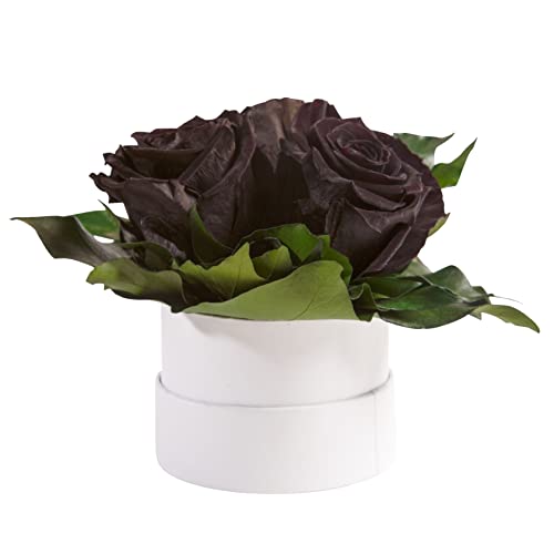 Infinity Rosenbox weiß rund konservierte Blumen Schwarz - 3 infinity Rosen Durchmesser 15 cm - Geschenkideen für Frauen (Schwarz, Medium) von ROSEMARIE SCHULZ Heidelberg