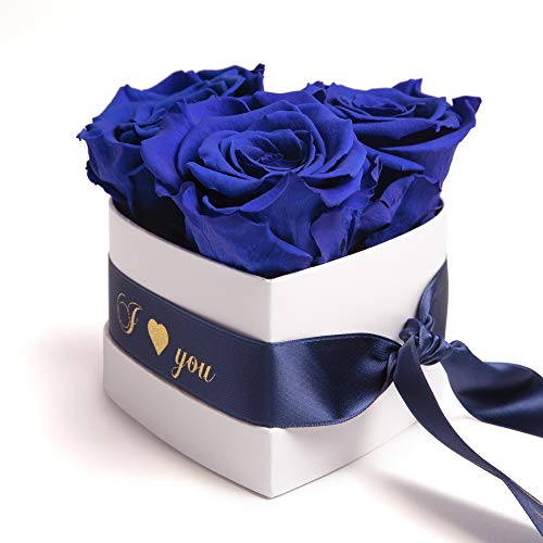 ROSEMARIE SCHULZ Heidelberg Infinity Rosenbox Herz - 10x12cm 3 konservierte Blaue Rosen haltbar 3 Jahre Valentinsday Gift Box for Woman (I Love You, Blau) von ROSEMARIE SCHULZ Heidelberg