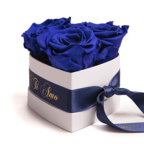 ROSEMARIE SCHULZ Heidelberg Infinity Rosenbox Herz - 10x12cm 3 konservierte Rosen haltbar 3 Jahre Frauen - Beste Freundin Geschenke (Ti Amo, Blau) von ROSEMARIE SCHULZ Heidelberg