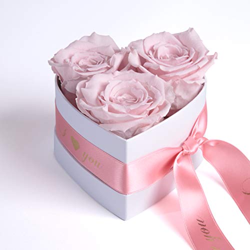 ROSEMARIE SCHULZ Heidelberg Infinity Rosenbox Herz - 10x12cm ewige Rosen Rosa haltbar 3 Jahre Valentinsday Gift Box for Girlfriend (I Love You, Rosa) von ROSEMARIE SCHULZ Heidelberg