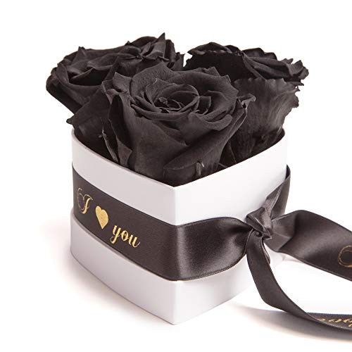 ROSEMARIE SCHULZ Heidelberg Infinity Rosenbox Herz - 10x12cm 3 konservierte Schwarze Rosen haltbar 3 Jahre Frauen - Valentinsday Gift Box for her (I Love You, Schwarz) von ROSEMARIE SCHULZ Heidelberg