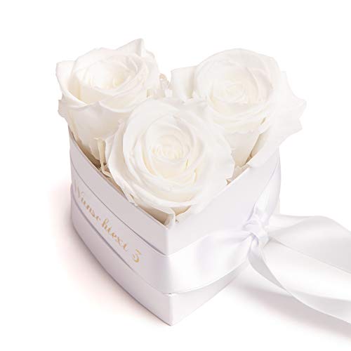 ROSEMARIE SCHULZ Heidelberg Infinity Rosenbox Herz Widmung personalisiert - 3 weiße Rosen in Box 10x12cm haltbar 3 Jahre - persönliche Frauen Geschenke (Wunschtext, Weiß) von ROSEMARIE SCHULZ Heidelberg