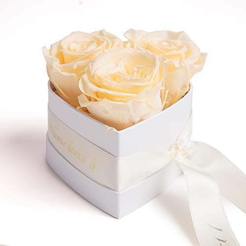 ROSEMARIE SCHULZ Heidelberg Infinity Rosenbox Herz Wunschtext personalisiert - 3 konservierte Rosen Creme in Box 10x12cm haltbar 3 Jahre - Liebesbeweis Geschenk personalisiert (Wunschtext, Beige) von ROSEMARIE SCHULZ Heidelberg