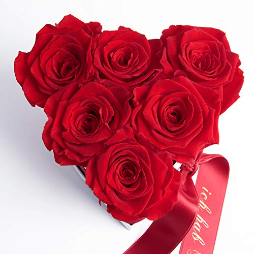 ROSEMARIE SCHULZ Heidelberg Rosenbox Herzform Geschenk zum Muttertag Blumen 6 Infinity Rosen Satinband Goldschrift (Rot, 6 Rosen Mama, ich hab Dich lieb) von ROSEMARIE SCHULZ Heidelberg