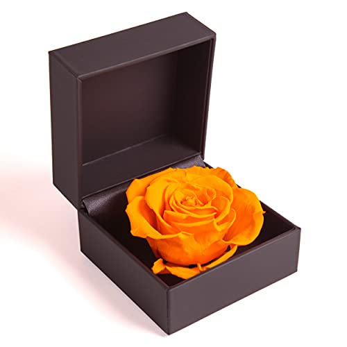 Rosenbox Infinity Rose konserviert Geschenkbox Ringdose mit Blume (Gelb) von ROSEMARIE SCHULZ Heidelberg