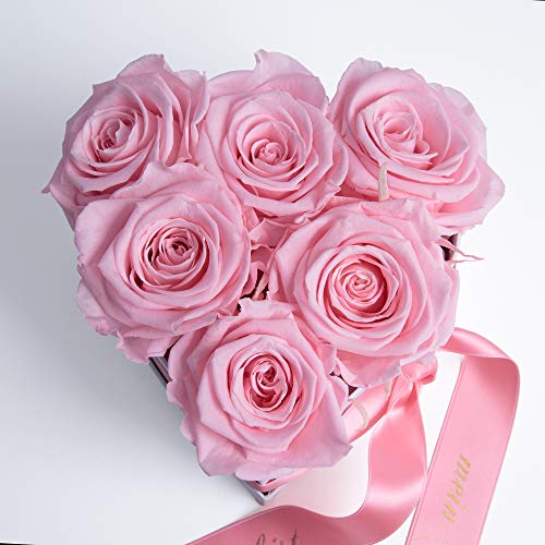 ROSEMARIE SCHULZ Heidelberg Rosenbox Muttertag Herzen Blumen Deko 6 Infinity Rosen konserviert (Rosa, 6 Rosen Mama Du bist Mein Herz) von ROSEMARIE SCHULZ Heidelberg