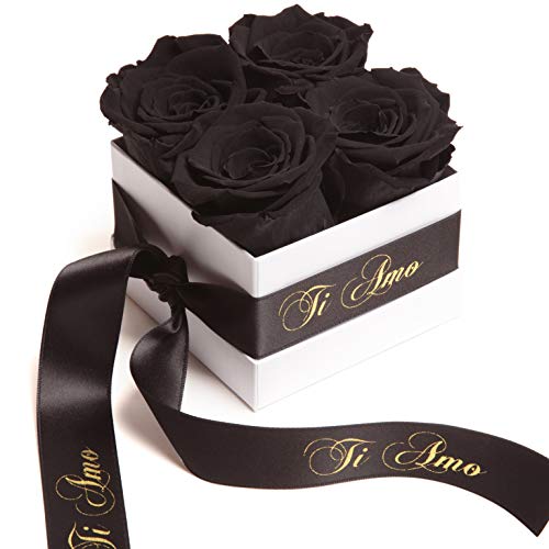 ROSEMARIE SCHULZ Heidelberg Rosenbox mit Infinity Rosen in Schwarz konservierte Blumen Valentinstagsgeschenk der Liebe für für Sie (Ti Amo, Schwarz) von ROSEMARIE SCHULZ Heidelberg