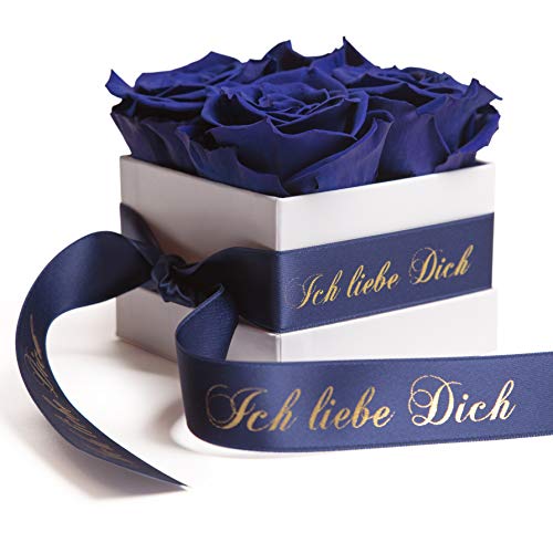ROSEMARIE SCHULZ Heidelberg Rosenbox mit Infinity Rosen - konservierte ewige Blumen Partner (Ich Liebe Dich, Blau) von ROSEMARIE SCHULZ Heidelberg
