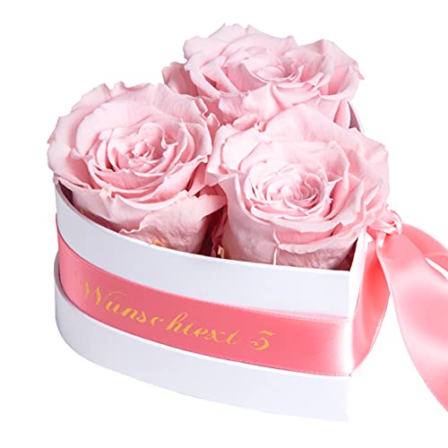 ROSEMARIE SCHULZ Heidelberg Infinity Rosenbox Herz personalisiert - 3 ewige Rosen rosa in Box 10x12cm haltbar 3 Jahre - persönliche Damen Geschenke (Wunschtext, Rosa) von ROSEMARIE SCHULZ Heidelberg