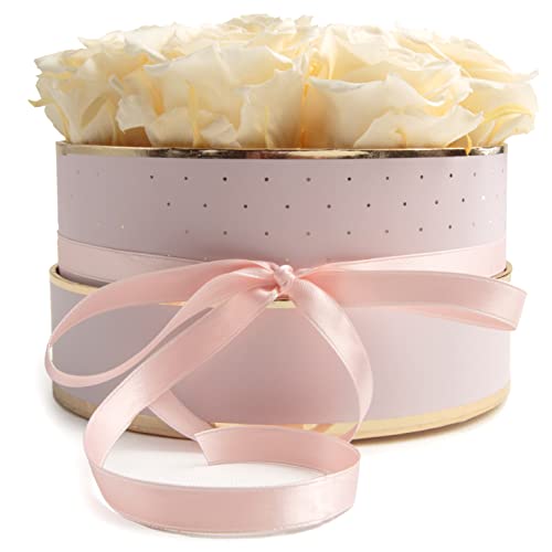 ROSEMARIE SCHULZ Heidelberg Rosenbox rosa rund Infinity Rosen - Flowerbox 8 Infinity Rosen Durchmesser 15 cm - Geburtstagsgeschenk für Frauen (Medium, Rosa-Champagner) von ROSEMARIE SCHULZ Heidelberg