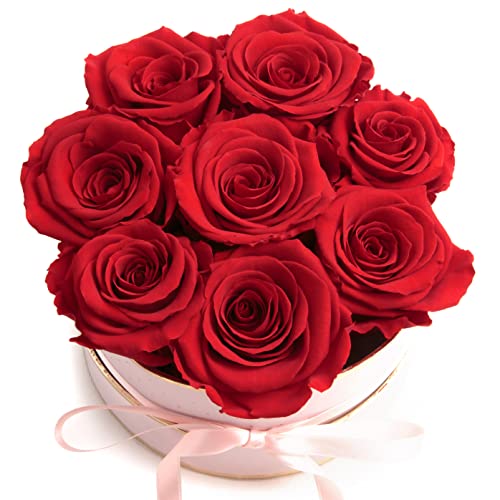 ROSEMARIE SCHULZ Heidelberg Rosenbox rosa rund Infinity Rosen - Flowerbox 8 echte Rosen haltbar 3 Jahre Durchmesser 15 cm - Geschenk für Frauen (Medium, Rosa-Rot) von ROSEMARIE SCHULZ Heidelberg