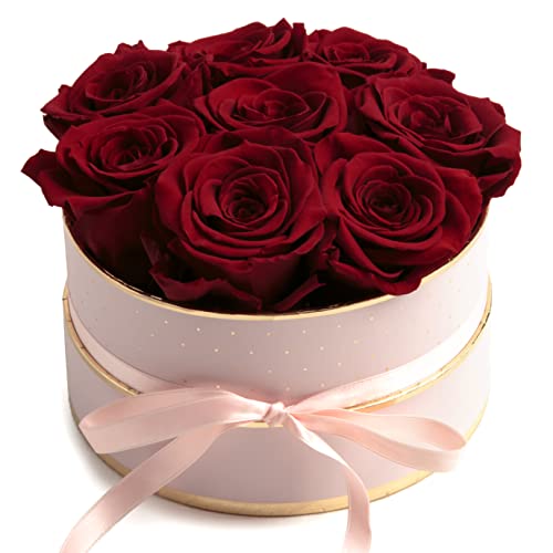 ROSEMARIE SCHULZ Heidelberg Rosenbox rosa rund Infinity Rosen - Flowerbox 8 echte Rosen haltbar 3 Jahre Durchmesser 15 cm - Geschenk für Frauen (Rosa -Dunkelrot) von ROSEMARIE SCHULZ Heidelberg