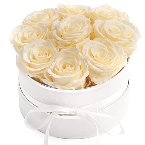 ROSEMARIE SCHULZ Heidelberg Rosenbox rosa rund Infinity Rosen - Flowerbox 8 echte Rosen haltbar 3 Jahre Durchmesser 15 cm - Geschenk für Frauen (Weiß-Champagner) von ROSEMARIE SCHULZ Heidelberg