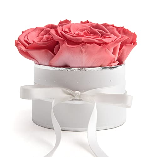 ROSEMARIE SCHULZ Heidelberg Rosenbox rund Infinity Rosen Korall-Rot - Blumenbox in Weiß 4 mal ewige Rose haltbar 3 Jahre - Geschenk für Mutter und Geschenke für Frauen (Small, Korall) von ROSEMARIE SCHULZ Heidelberg