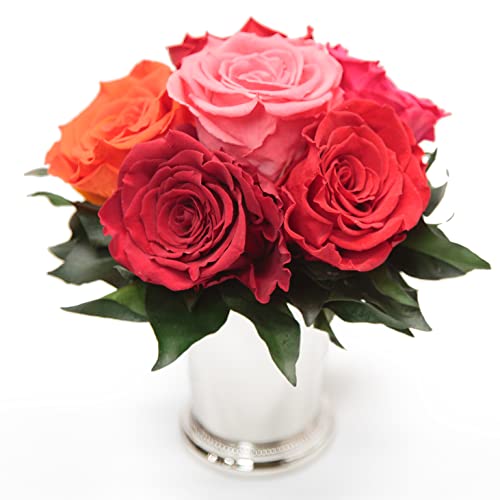 Rosengesteck 6 Rosen konserviert und Efeublättern Infinity Rosenbox rund 3 Jahre haltbar - Ø ca. 20-23 cm, Höhe ca. 21 cm Rosengesteck 6 Rosen konserviert und Efeublättern Infinity Rosenbox rund 3 Jahre haltbar - Ø ca. 20-23 cm, Höhe ca. 21 cm von ROSEMARIE SCHULZ Heidelberg