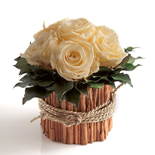 ROSEMARIE SCHULZ Heidelberg Rosengesteck 6 konservierte Rosen lang haltbar 3 Jahre/Bauernhaus/Wohnung/Zimmer/Tisch (Beige) von ROSEMARIE SCHULZ Heidelberg