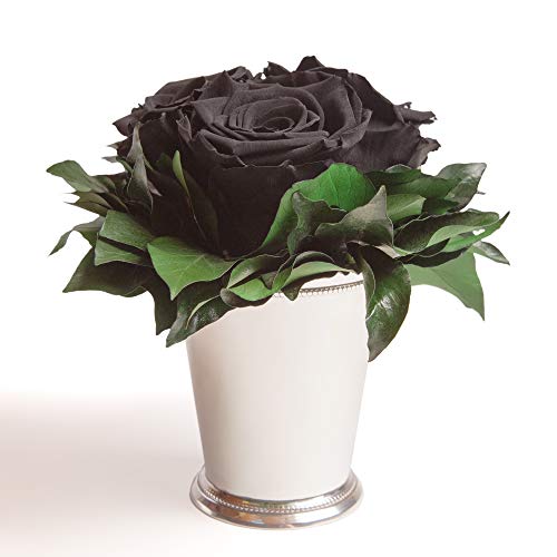 ROSEMARIE SCHULZ Heidelberg Schwarze Infinity Blumen in silberfarbenen Becher 3 ewige Rose konserviert (Schwarz, 3 Rosen) von ROSEMARIE SCHULZ Heidelberg