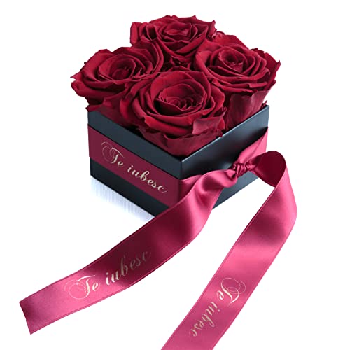 ROSEMARIE SCHULZ Heidelberg Te Iubesc Geschenke für Freundin - Infinity Rosenbox 4 echte Rosen haltbar 3 Jahre 8,5 x 8,5 cm - Rosen Geschenke für Frauen für Valentinstag (Te iubesc, Dunkelrot) von ROSEMARIE SCHULZ Heidelberg