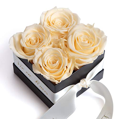 Rosenbox La Vie en Roses 4 konservierte Rosen haltbar 3 Jahre Schachtel mit infinity Rose in Champagner von ROSEMARIE SCHULZ® Heidelberg (Beige) von ROSEMARIE SCHULZ Heidelberg