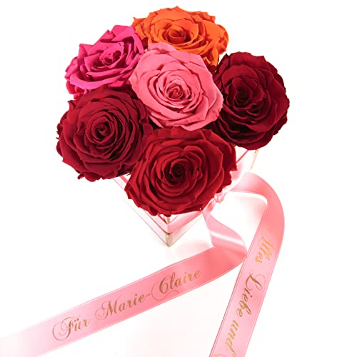 ROSEMARIE SCHULZ Heidelberg Rosenbox personalisiert 6 Infinity Rosen bunt - 15x12cm haltbar bis zu 3 Jahre - echte Bunte Rosen bunter Blumenstrauß versenden (Perso Eckig Rosa, Bunt) von ROSEMARIE SCHULZ Heidelberg