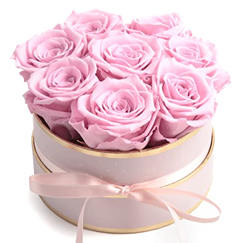 ROSEMARIE SCHULZ Heidelberg Rosenbox rosa rund Infinity Rosen - Flowerbox 8 echte Rosen haltbar 3 Jahre Durchmesser 15 cm - Geschenk für Frauen (Rosa-Rosa) von ROSEMARIE SCHULZ Heidelberg