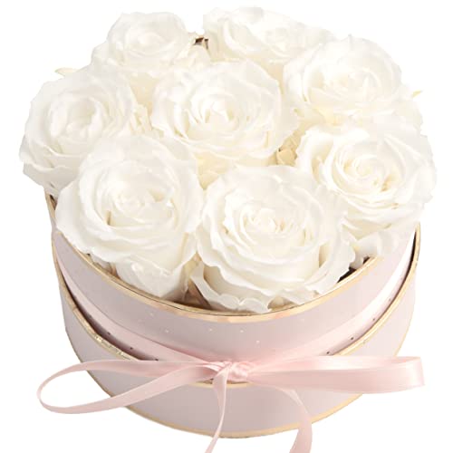 ROSEMARIE SCHULZ Heidelberg Rosenbox rosa rund Infinity Rosen - Flowerbox 8 echte Rosen haltbar 3 Jahre Durchmesser 15 cm - Geschenk für Frauen (Rosa-Weiß) von ROSEMARIE SCHULZ Heidelberg