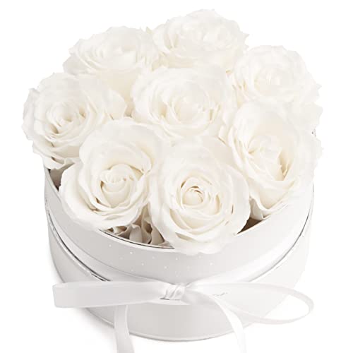 ROSEMARIE SCHULZ Heidelberg Rosenbox rosa rund Infinity Rosen - Flowerbox 8 echte Rosen haltbar 3 Jahre Durchmesser 15 cm - Geschenk für Frauen (Weiß-Weiß) von ROSEMARIE SCHULZ Heidelberg