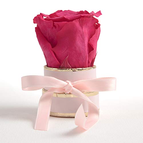 ROSEMARIE SCHULZ Heidelberg Rosenbox rund Infinity eine Rose konservierte - keines Geschenk für Frauen (Rosa-Pink) von ROSEMARIE SCHULZ Heidelberg