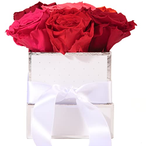 Rosenbox weiß personalisiert 6 infinity Rosen bunt - 15x12cm haltbar bis zu 3 Jahre - echte Rosen bunter Blumenstrauß versenden persönliche Grüße (Perso Eckig Weiß, Bunt) von ROSEMARIE SCHULZ Heidelberg