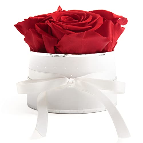 ROSEMARIE SCHULZ Heidelberg Rosenbox rund Infinity Rosen Rot - Blumenbox weiß 4 konservierte Rosen haltbar 3 Jahre Durchmesser ca. 10cm - Frauen Geschenk für Freundin (Small, Weiß-Rot) von ROSEMARIE SCHULZ Heidelberg