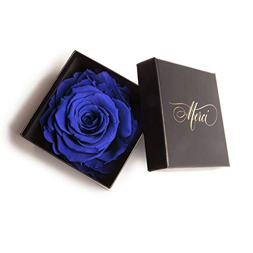 Unvergängliche Rose Infinity Rosenbox Danke Geschenk Merci (1 Rose, Blau) von ROSEMARIE SCHULZ Heidelberg