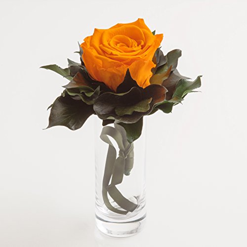 Blumenstrauß langhaltend Ewige Rose konserviert mit Glasvase haltbar 3 Jahre von ROSEMARIE SCHULZ GmbH Heidelberg (Gelb) von ROSEMARIE SCHULZ Heidelberg