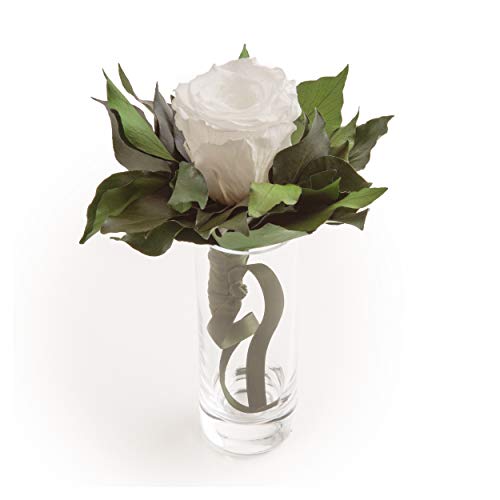 Blumenstrauß langhaltend Ewige Rose konserviert mit Glasvase haltbar 3 Jahre von ROSEMARIE SCHULZ GmbH Heidelberg (Weiß) von ROSEMARIE SCHULZ Heidelberg