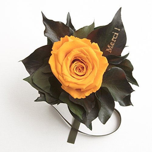 Ewige Rose konserviert Rosenstrauß mit Goldschrift "Merci" 3 Jahre haltbar Danksagung Gastgeschenk ROSEMARIE SCHULZ® (Gelb) von ROSEMARIE SCHULZ Heidelberg