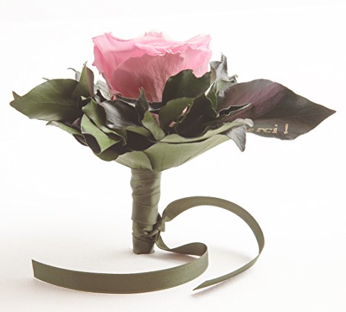 Ewige Rose konserviert Rosenstrauß mit Goldschrift"Merci" 3 Jahre haltbar Danksagung Gastgeschenk ROSEMARIE SCHULZ® (Rosa) von ROSEMARIE SCHULZ