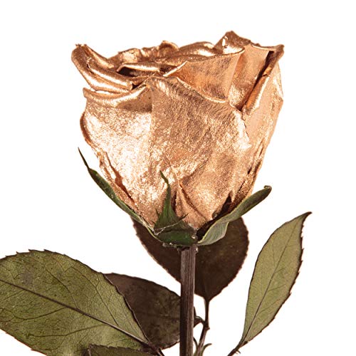 ROSEMARIE SCHULZ Heidelberg Infinity Rose Gold mit Stiel - echte Rose konserviert 45-50cm haltbar 3 Jahre - langlebige Rose 50 Jahre Jubiläum goldene Hochzeit Geschenke und goldene Deko (Gold) von ROSEMARIE SCHULZ Heidelberg