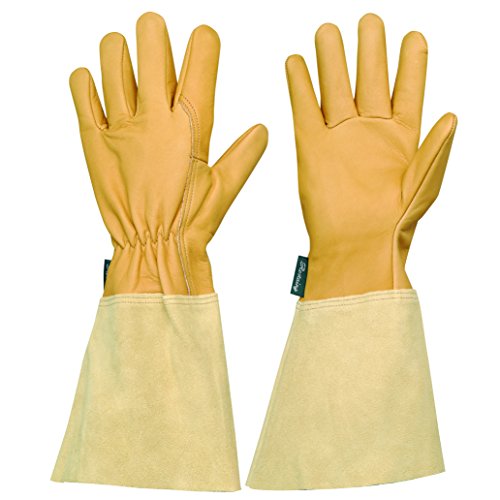 Rostain Pflanzhandschuhe, Beige, 42 x 16,5 x 2 cm von ROSTAING