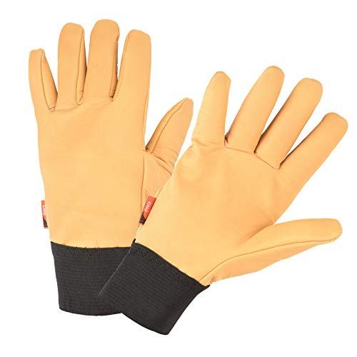 Rostaing Spezial T kalt Handschuhe, Beige, 33 x 12 x 4,5 cm von ROSTAING