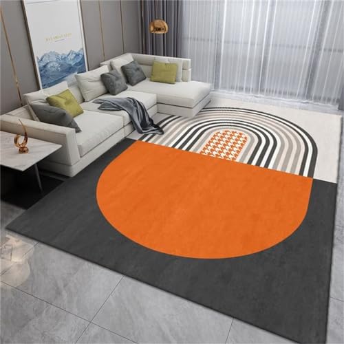 ROSURUG Dog Blanket Babyzimmer Deko orange grau Wohnzimmer Teppich licht Luxus Freizeit heim Multi-Size 160X200cm Möbel Schlafzimmer von ROSURUG