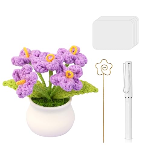 ROSYLEVE Gehäkelte Blumen Kleiner Tulpentopf Motivationsgeschenke Geschenke für Kollegen,Abschiedsgeschenk Kollegen,Beste Freundin Geschenke,Gute Laune Gee für Home Office Tischdekorationg Lila von ROSYLEVE