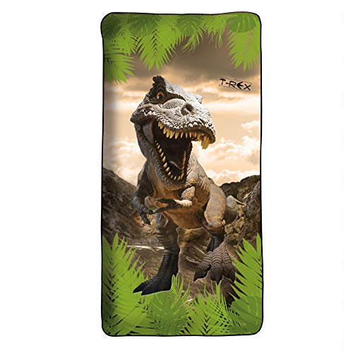 ROTH Kinder-Badetuch - Tyrannosaurus, 60x120 cm, platzsparendes und schnell trocknendes Schwimmtuch von ROTH