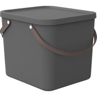 Rotho - Aufbewahrungssystem Albula 40 l anthrazit Aufbewahrungsbox mit Deckel von ROTHO