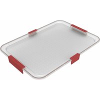 Rotho - Deckel mit Dichtung zu Box Albris 45 l rot 56 x 40 x 3 cm (LxBxH) Aufbewahrungsbox von ROTHO