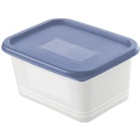 Rotho - Gefrierdosen-Set Domino 4 x 0,75 l blau Frischhaltedose Kühlschrankdose Vorratsdose von ROTHO