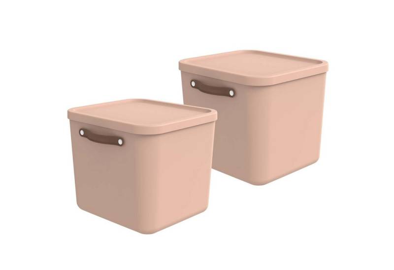 ROTHO Aufbewahrungsbox 2er-Set Aufbewahrungskiste 40l (Aufbewahrungsset, 2er-Set) von ROTHO