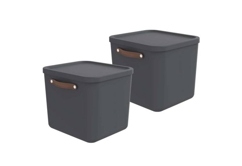ROTHO Aufbewahrungsbox 2er-Set Aufbewahrungskiste 40l (Aufbewahrungsset, 2er-Set) von ROTHO