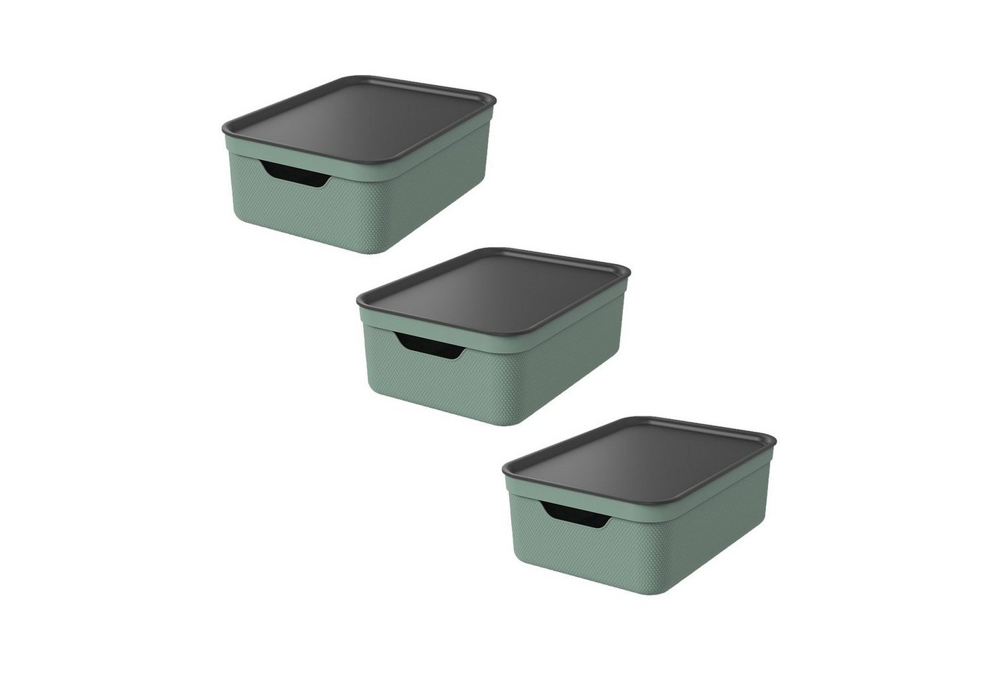ROTHO Aufbewahrungsbox 3er Set Aufbewahrungsbox mit Deckel 10L JIVE ROTHO Aufbewahrungsbox 3er Set Aufbewahrungsbox mit Deckel 10L JIVE von ROTHO