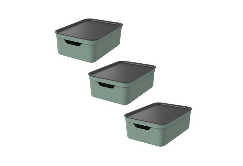 ROTHO Aufbewahrungsbox 3er Set Aufbewahrungsbox mit Deckel 10L JIVE von ROTHO